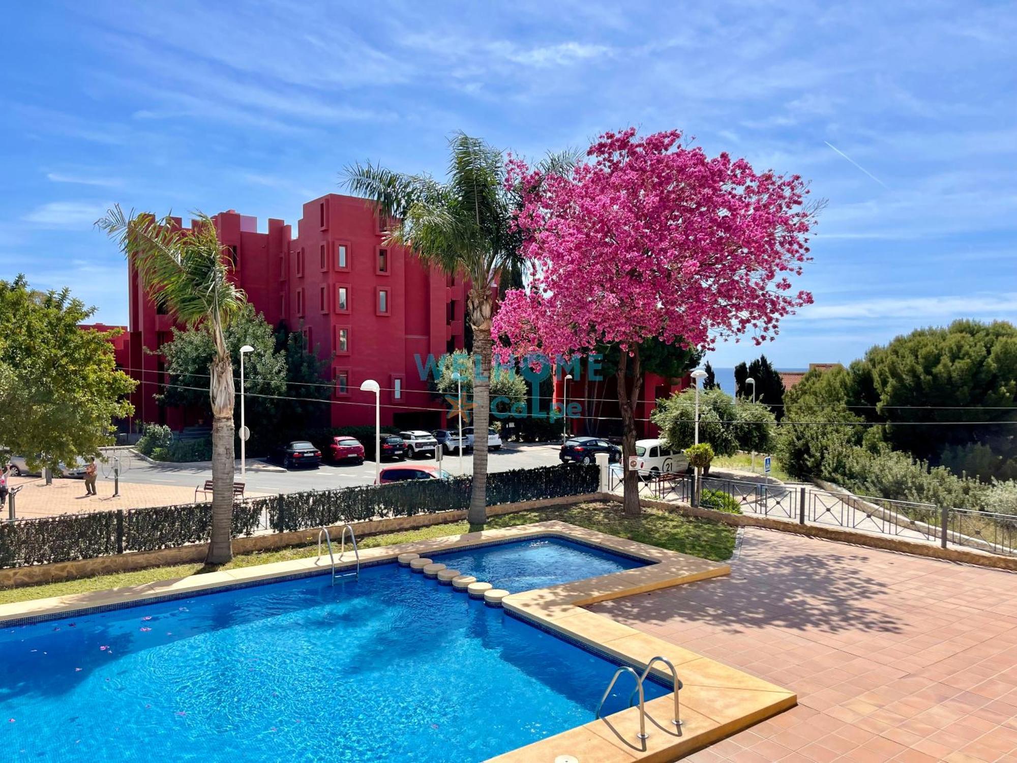 Manzana Bonito Y Comodo Apartamento Con Piscina Calpe Eksteriør billede
